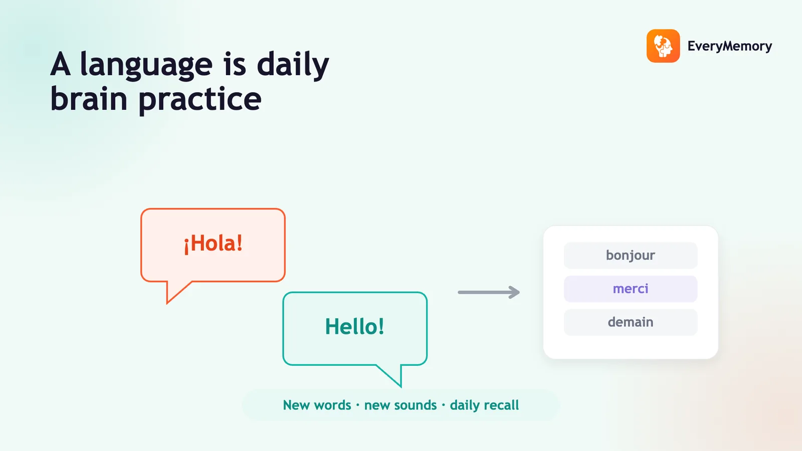Learning a Language and Memory: What the Science Says