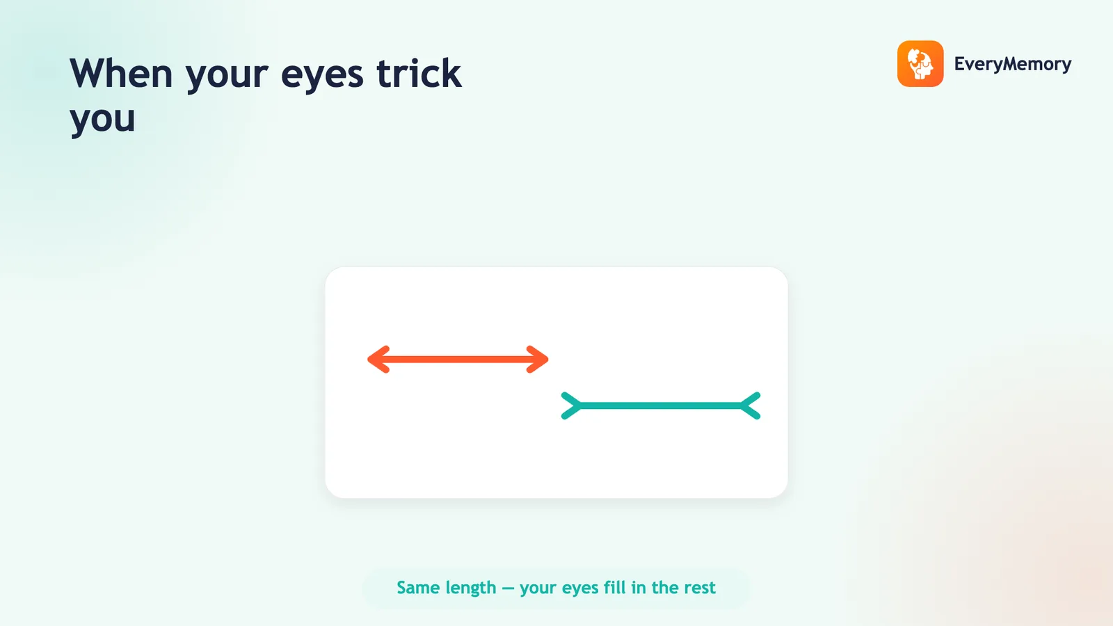 Two arrow lines of equal length that the eyes misjudge, showing how illusions fool attention